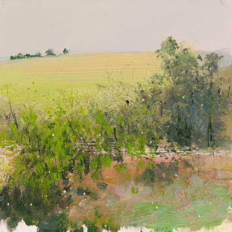 Contemporary painting inspired by the South Downs