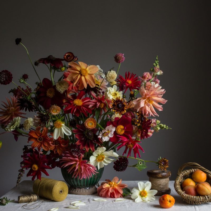 Fine Art Photographic Print of dahlias and apricots