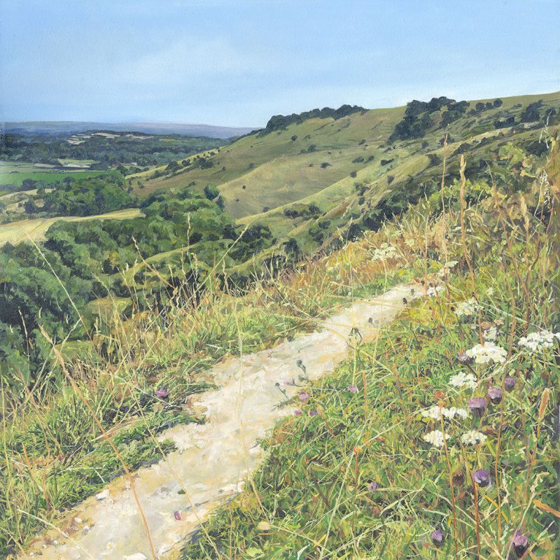 A chalky path winds its way from Ditchling Beacon Car park towards Eastbourne Direction, it is high summer with cow parsley and wild flowers lining the path and the sky is azure bluie.