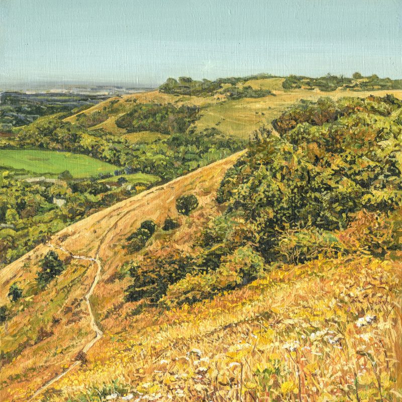 This painting was captured at the height of summer, the grass and cow parsley, is golden and crispy. 