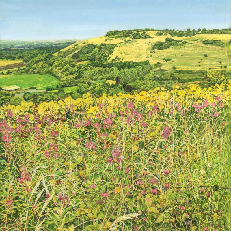 A joyful picture of pink rosebay willowherbs, bright yellow ragwort, and brambles, are in the fore of this painting which has Newtimber Hill, in the background. 