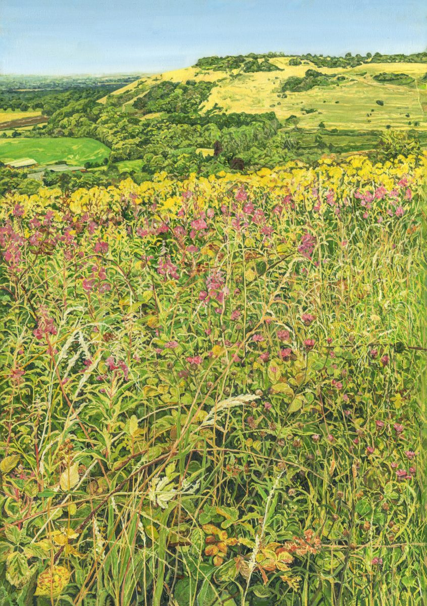 A joyful picture of pink rosebay willowherbs, bright yellow ragwort, and brambles, are in the fore of this painting which has Newtimber Hill, in the background. 