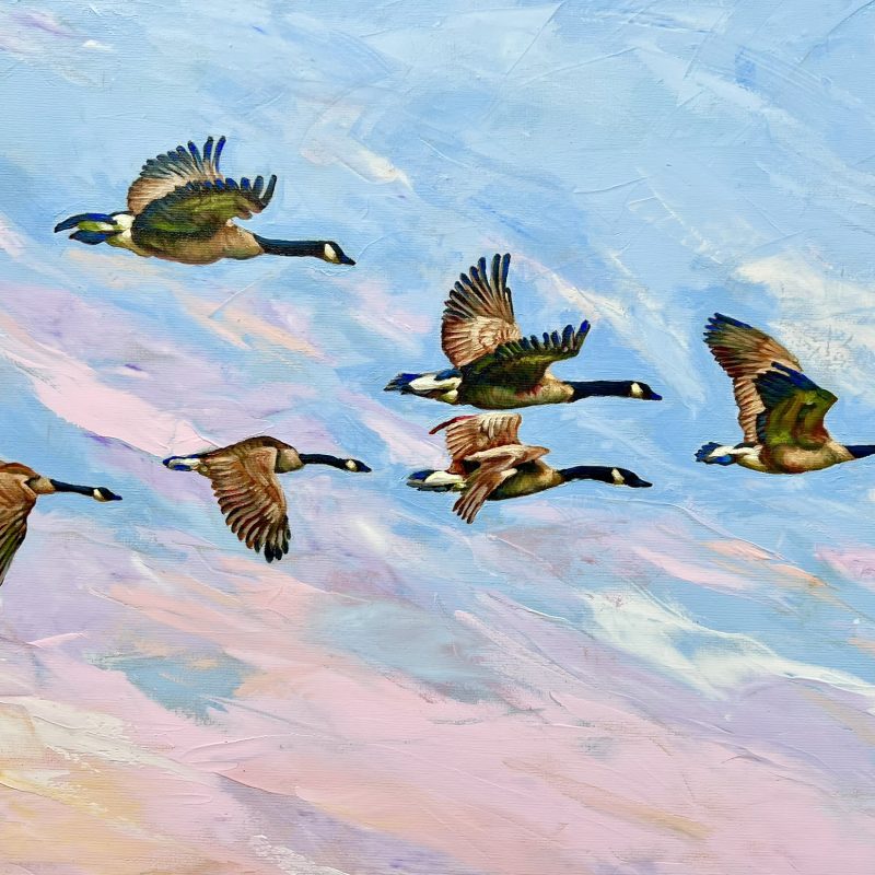 A painting of 6 geese flying in V shape over the pastel blue pink milky sky.