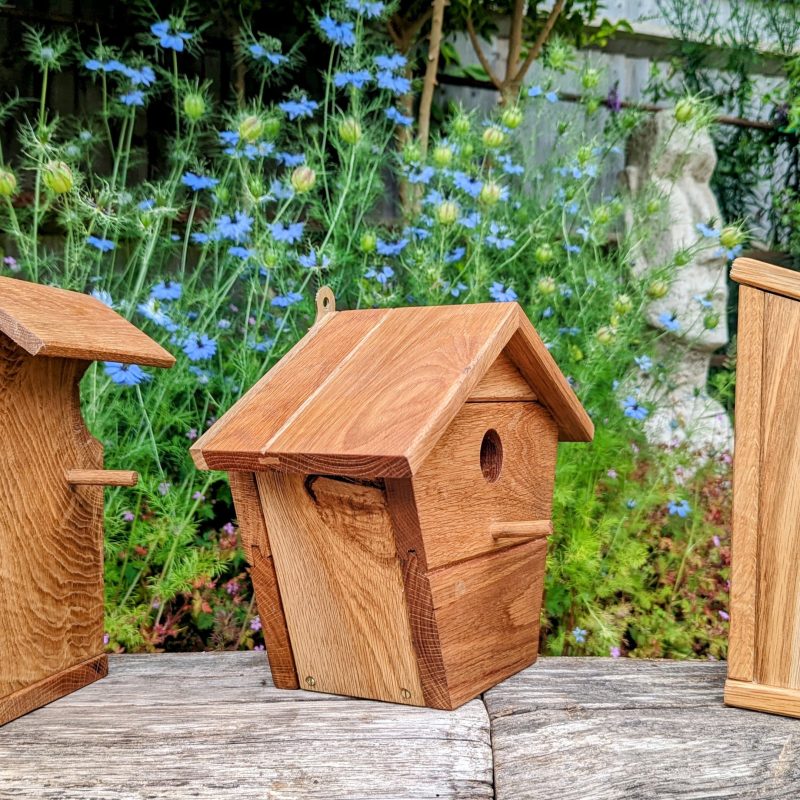 Woodson bird boxes