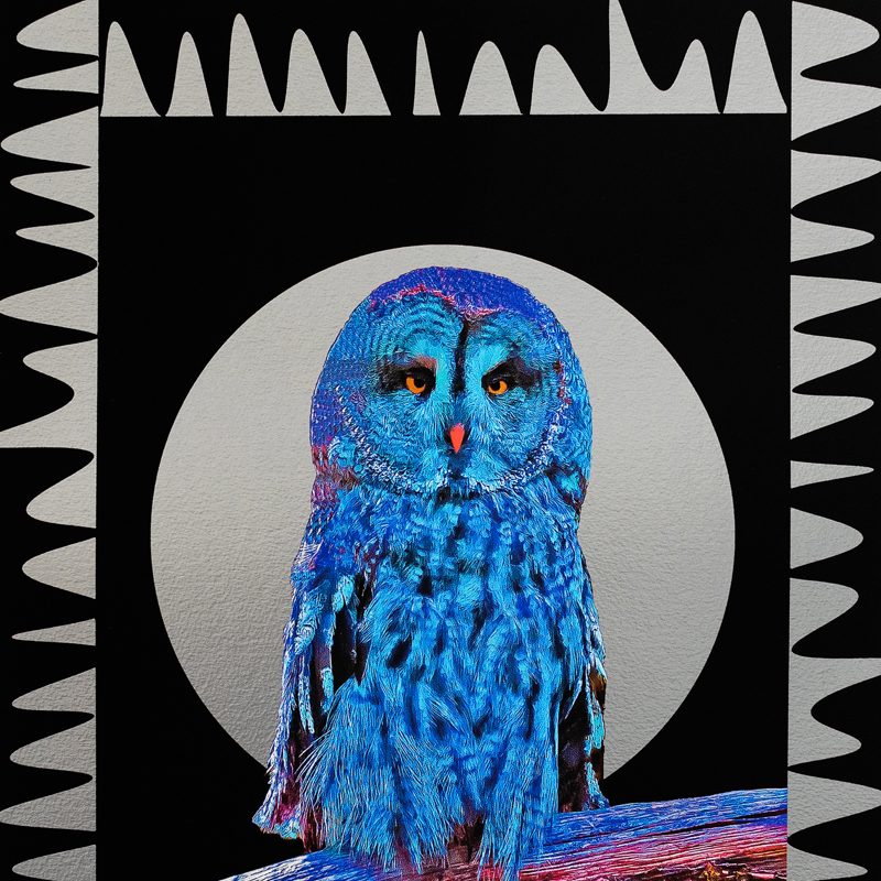 Photography & Digital artwork