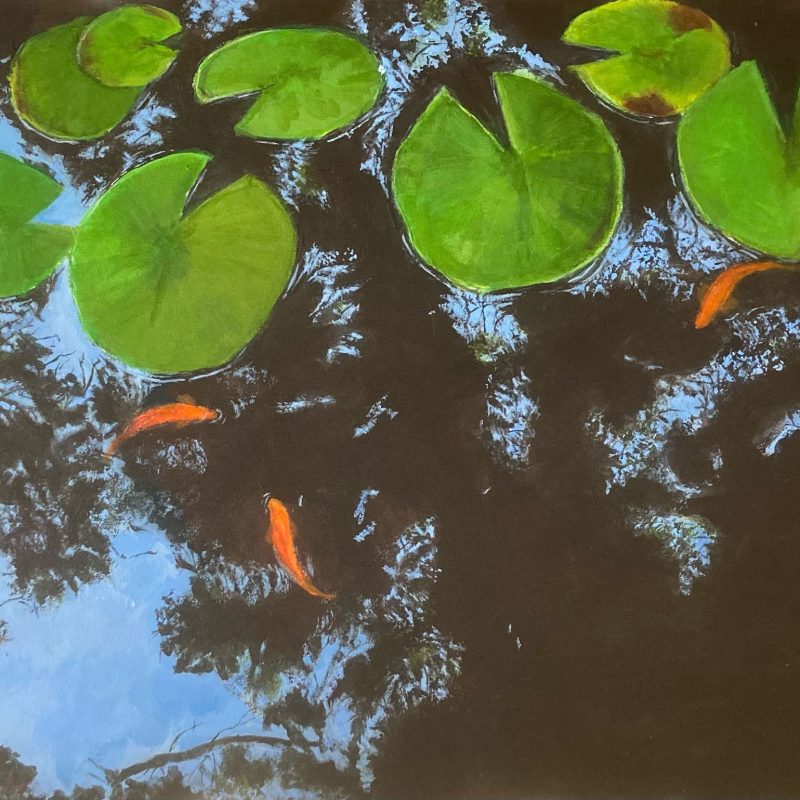 Three gold fish swim beneath lily pads in a pond which reflects the sky and trees.