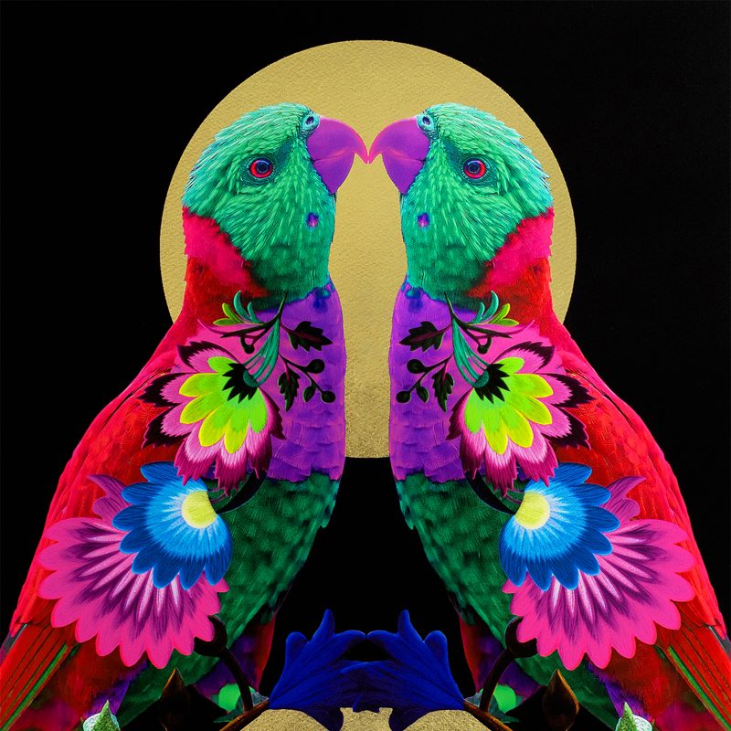 Photography & Digital artwork