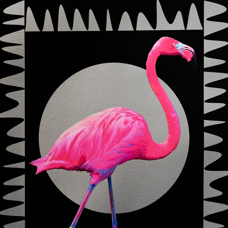 Photography & Digital Art 