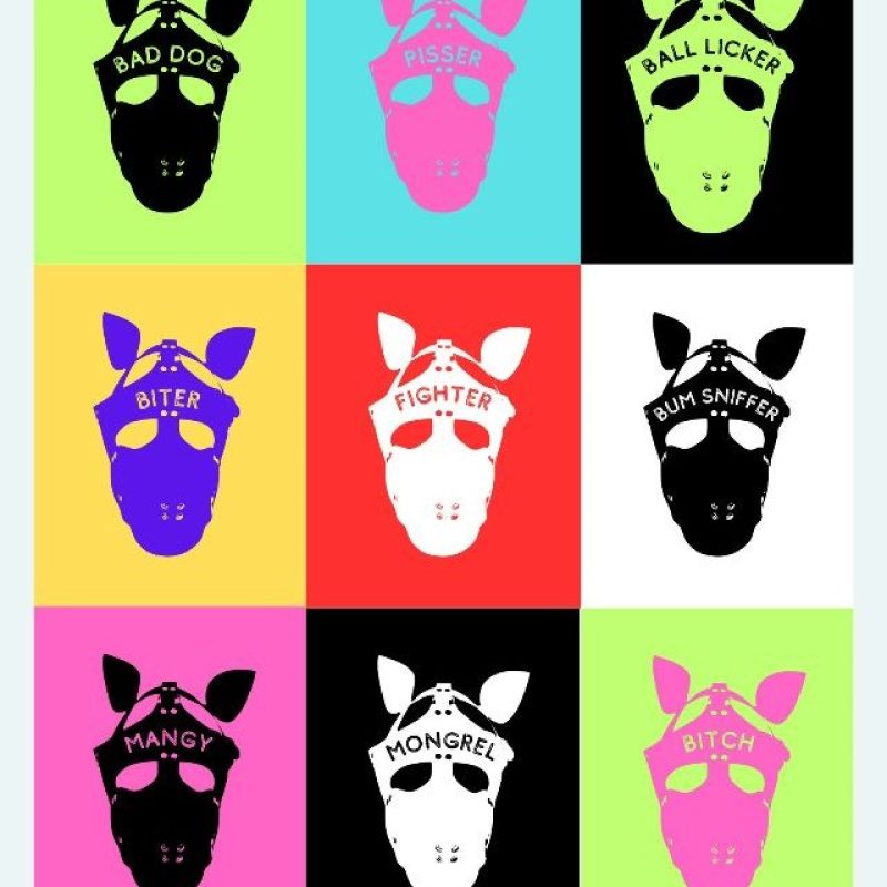 9 graphic  images of badly behaved dogs faces