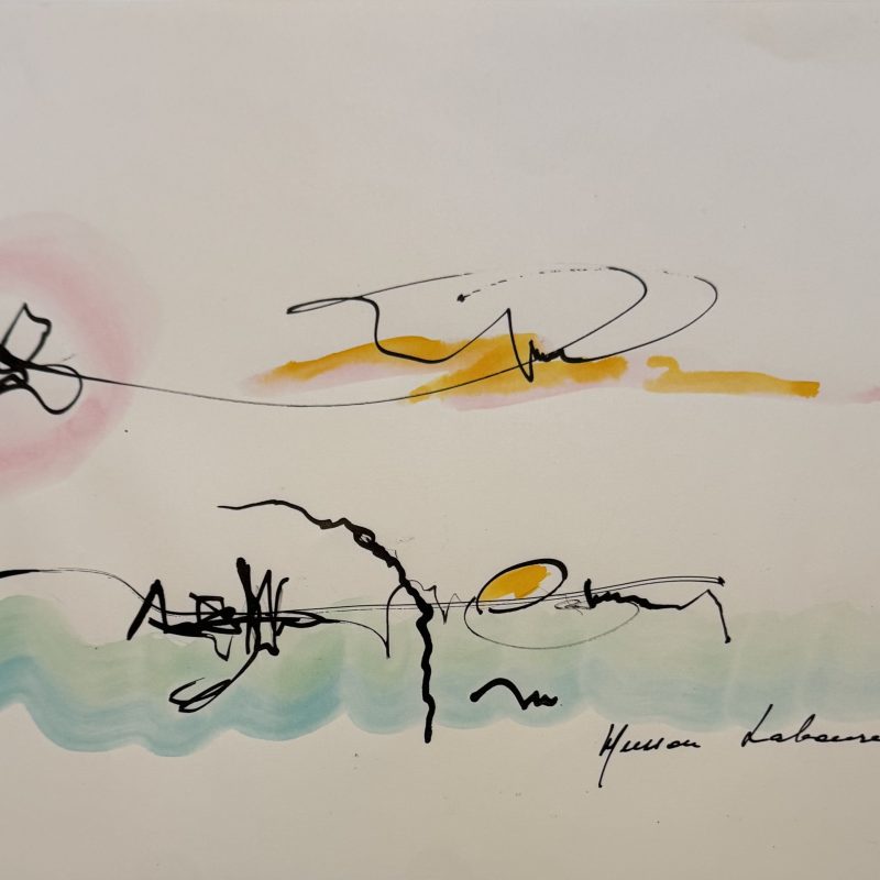 Black ink trace of the flight of a butterfly over land water and the sun