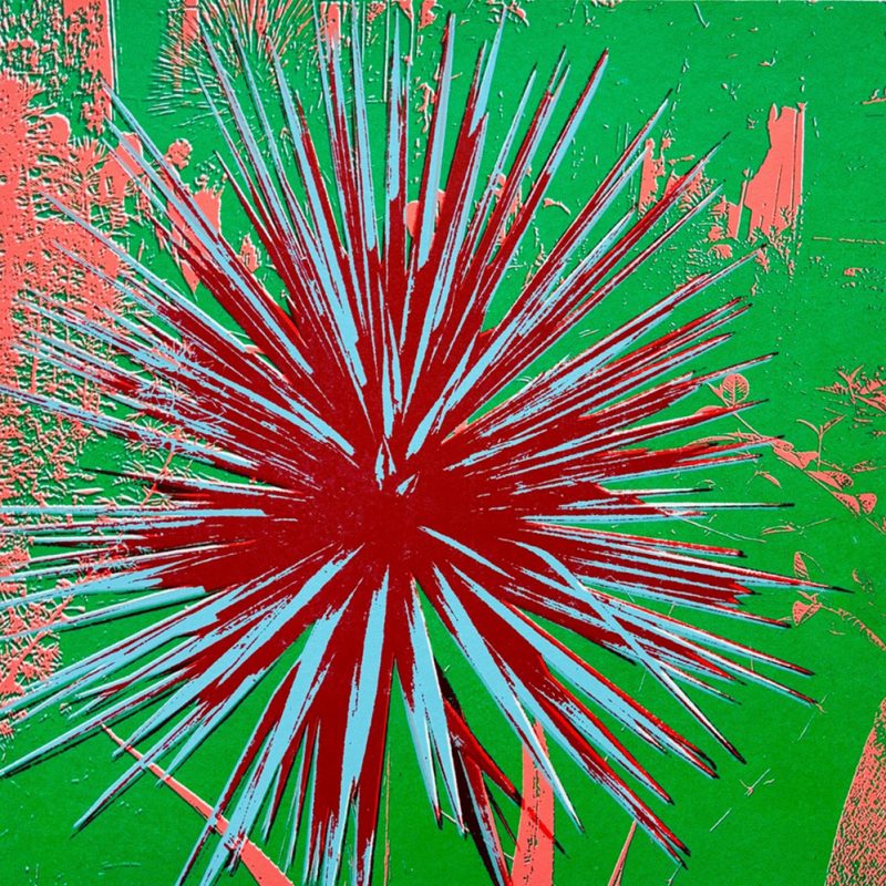 Vibrant images overlaid to form a dynamic composition.