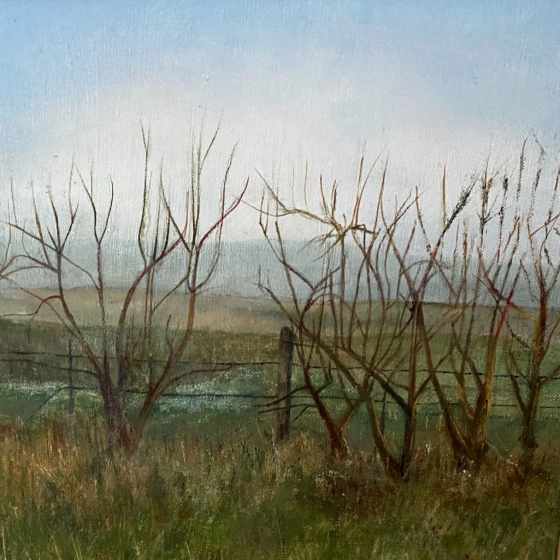 Wintery scene alongside a footpath