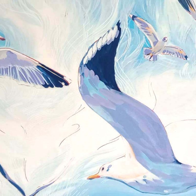 Flying Gulls in the sky