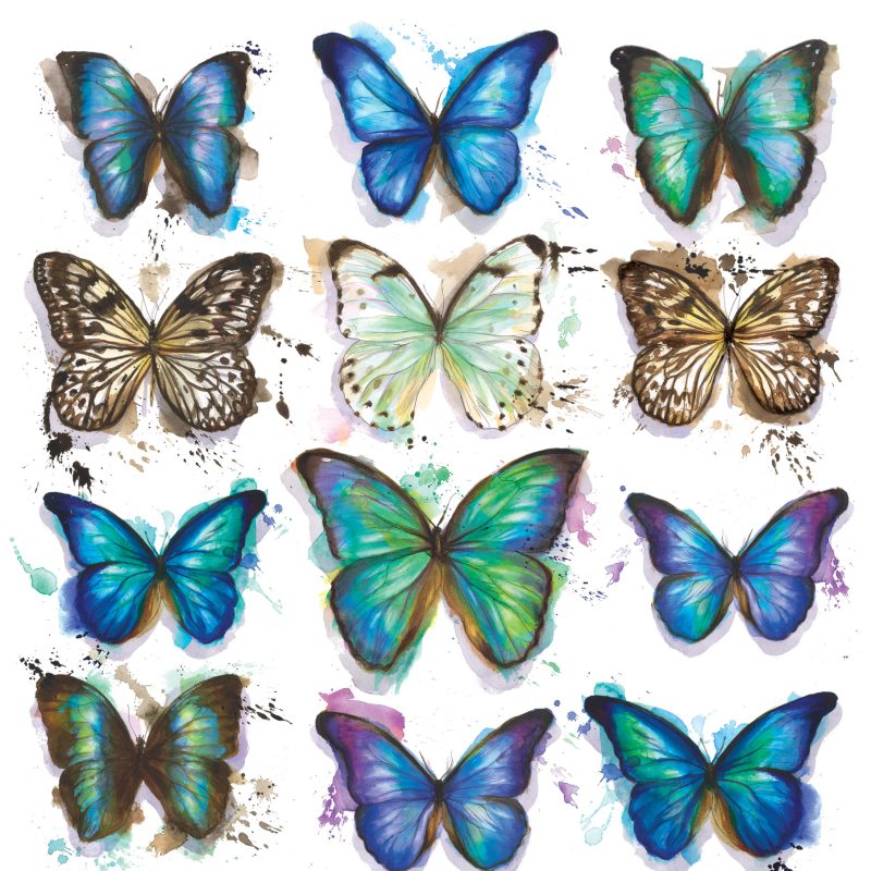 Lots of butterflies painted in watercolour
