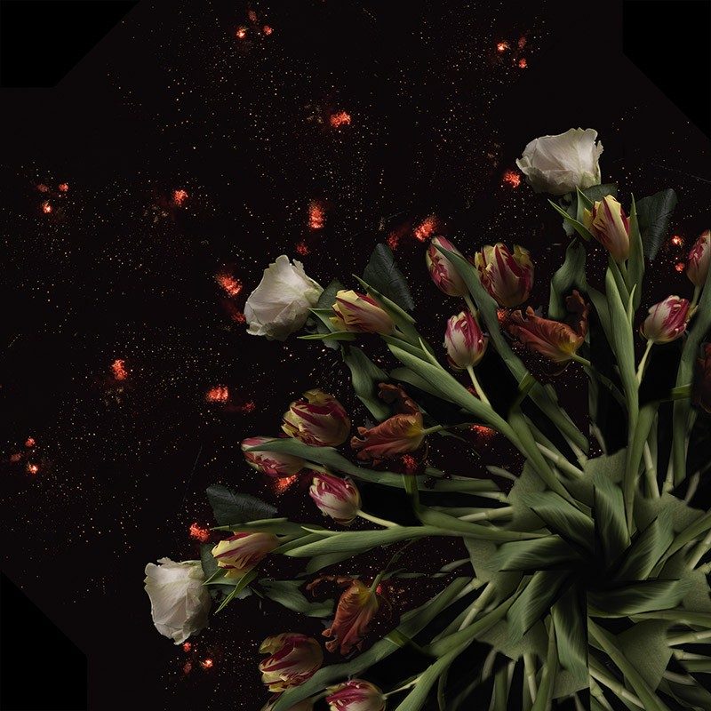 Photo-collage of flowers against a dark background with fireworks in the distance.