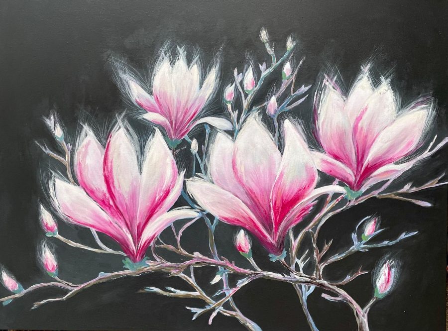 Magnolia fleets on black background 