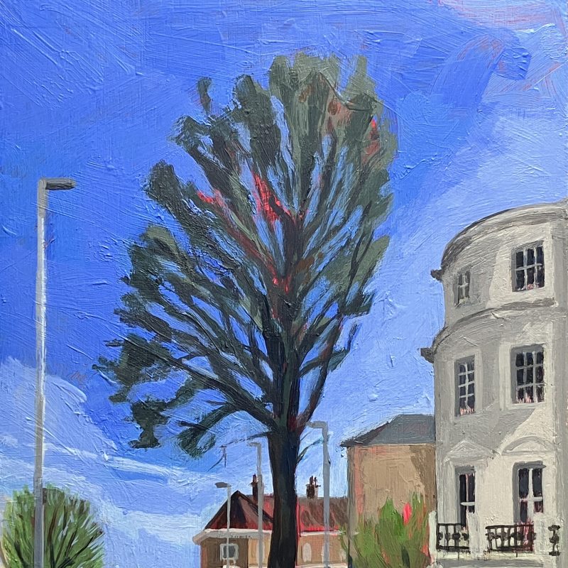 Brighton street scene with tree