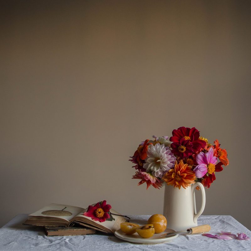 A still-life photograph of a calm scene showing dahlias in a jug along side a book and some plums