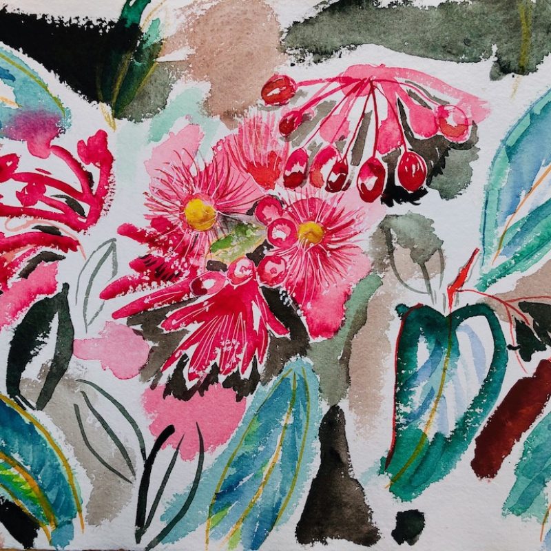 Gum tree flowers in pinks and yellows