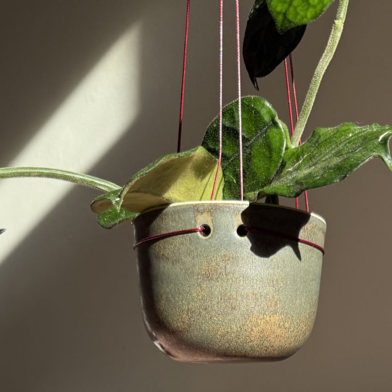 An image showing a stoneware ceramic hanging plant holder and plant