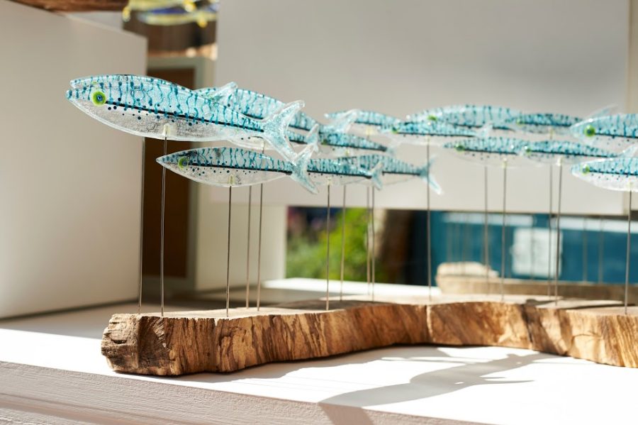Fused glass fish shoal mounted on natural wood
