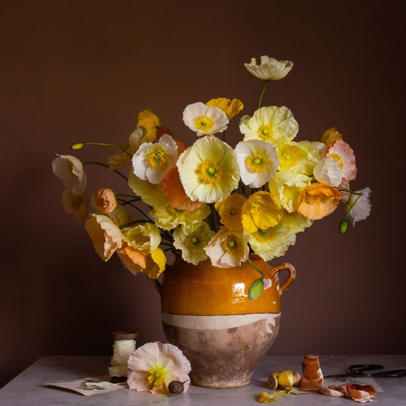 A still-life fine art photograph of yellow poppies in a pot, on a marble surface with ribbon and a snail.