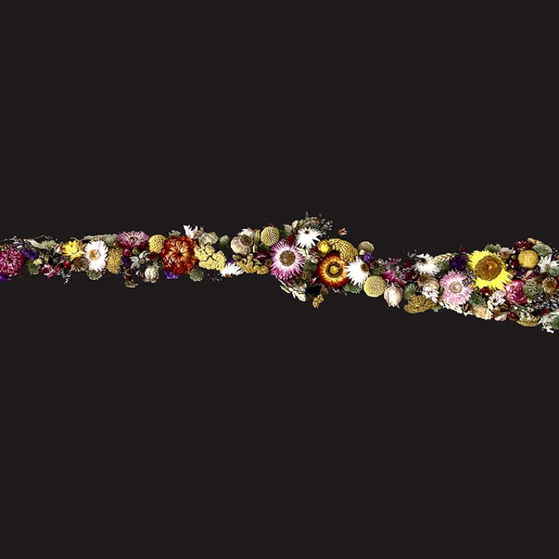 natural dried flowers tightly configured into the shape of a small air rifle. Prints to be made from original