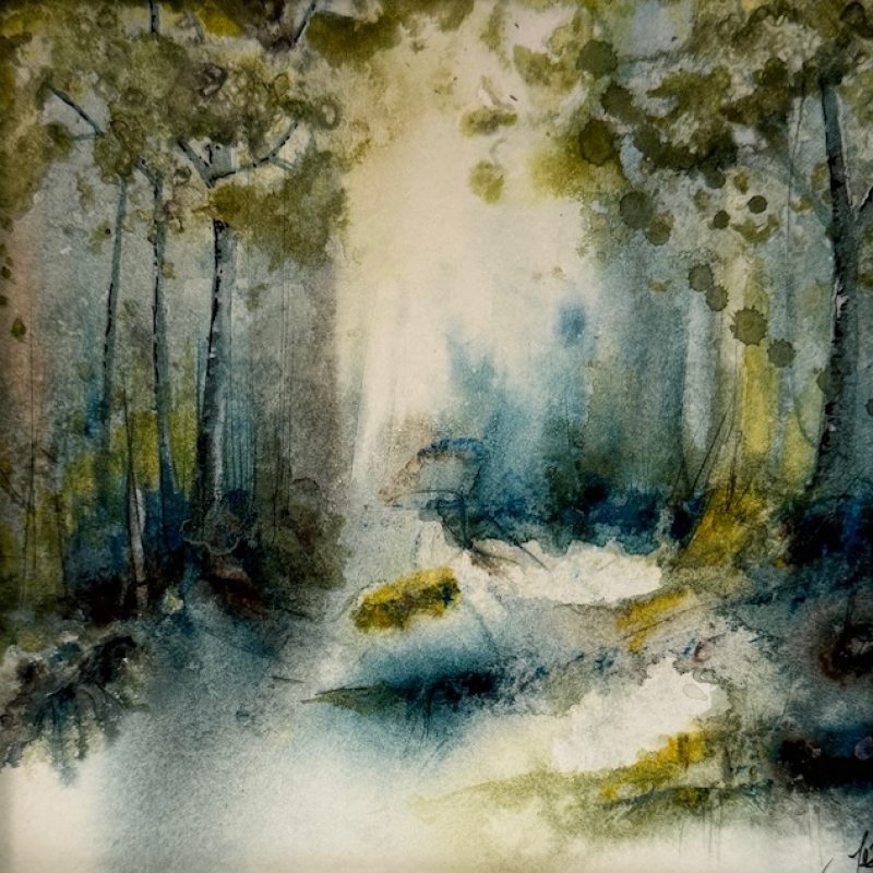 The early morning sun breaks through the gap in the trees to highlight the marshy grass clumps that appear once the mist disperses. The trees that frame the picture stand tall either side waiting for the sunlight to finally touch their waiting leaves and gobble up the overnight moisture that pools there in.