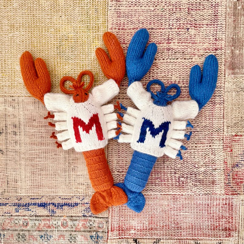 Lobsters wearing sweaters