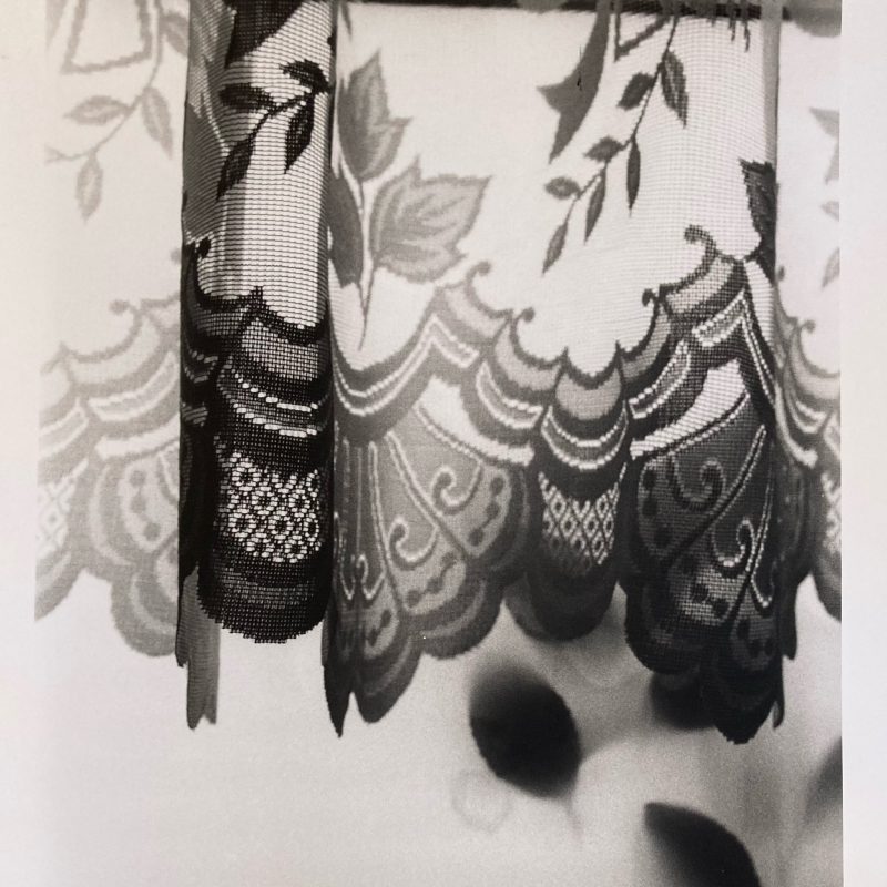 A view through a pretty net curtain, with plants in silhouette.