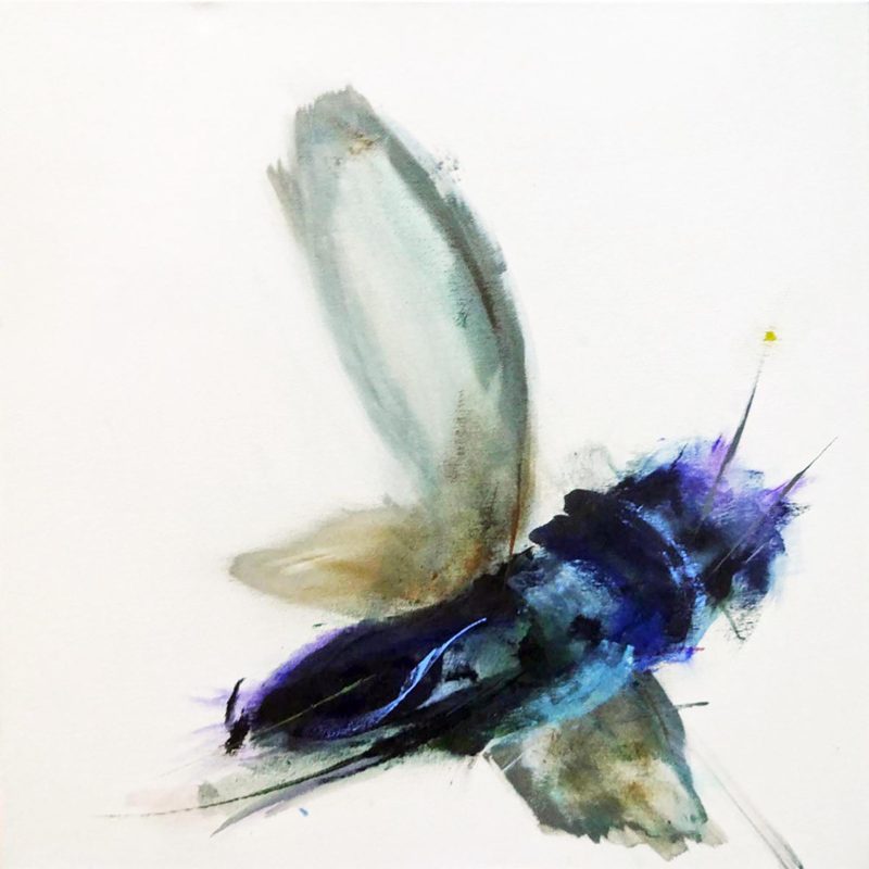 An Abstract Impressionistic painting of a insect in flight, painted in acrylics on a 61 x 61 cm canvas