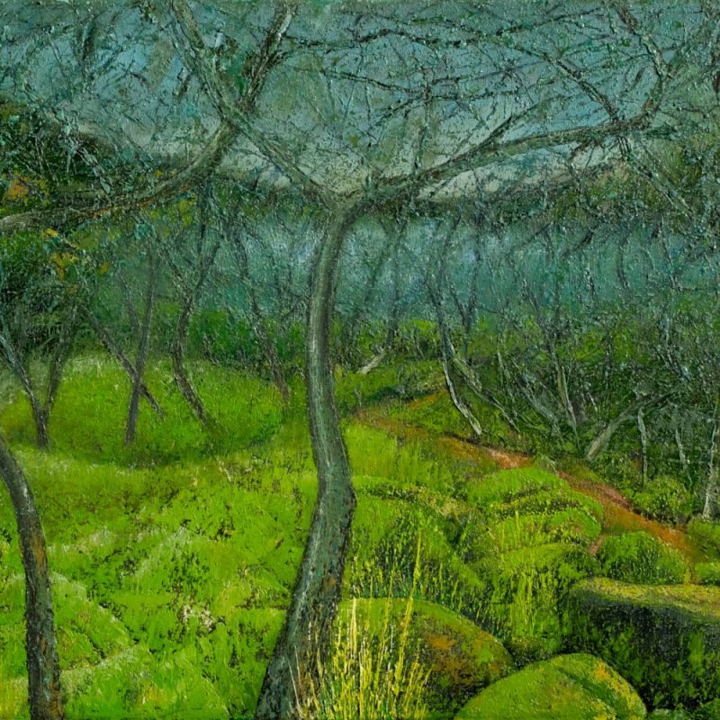 A mysterious, dark green ancient forest, thick with twisted trees and bright green moss. A lake can just be seen through the trees.