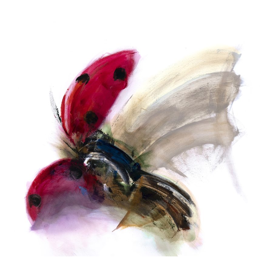 An Abstract Impressionistic painting of a ladybird in flight, painted in acrylics on a 100 x 100 cm canvas 