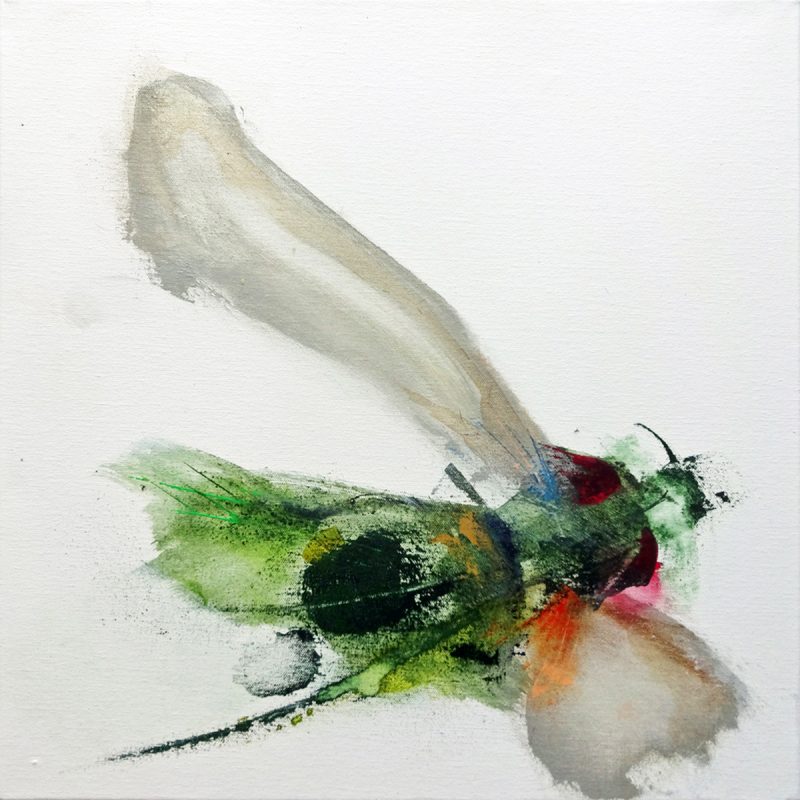 An Abstract Impressionistic painting of a insect in flight, painted in acrylics on a 50 x 50 cm 