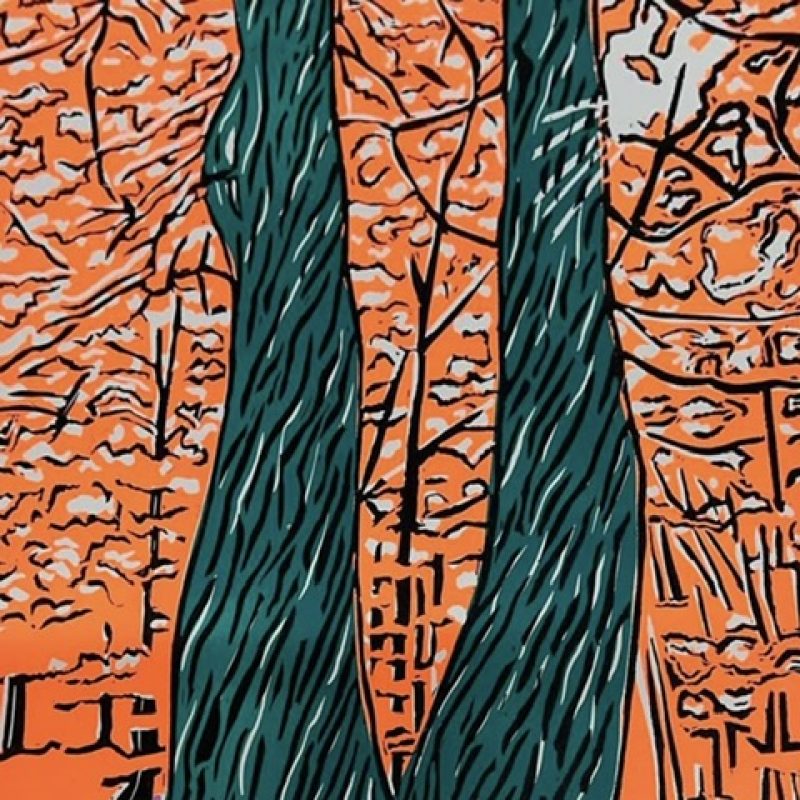 Two green tree trunks against a dance of tree branches with orange background on a glorious pink ground.