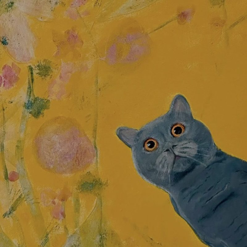 Grey cat peers around the canvas in a yellow papered room with tones of reddish and pink foliage 