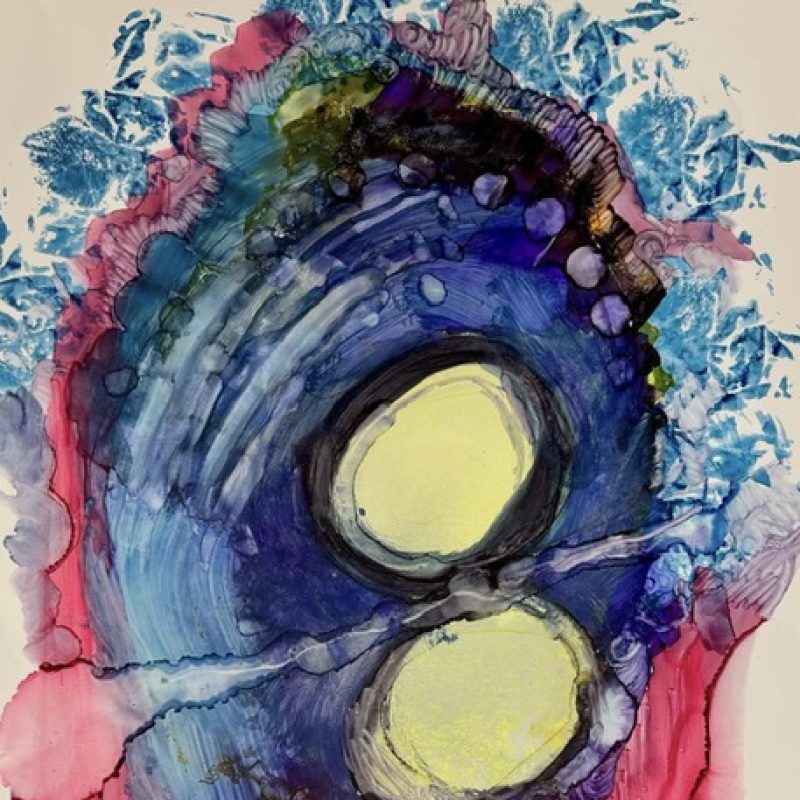 Two yellow egg like structures held in a cavern of blue and red nest 