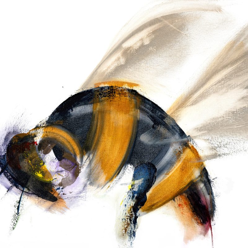 An Abstract Impressionistic painting of a bee , painted in acrylics on a 60 x 80 cm canvas 