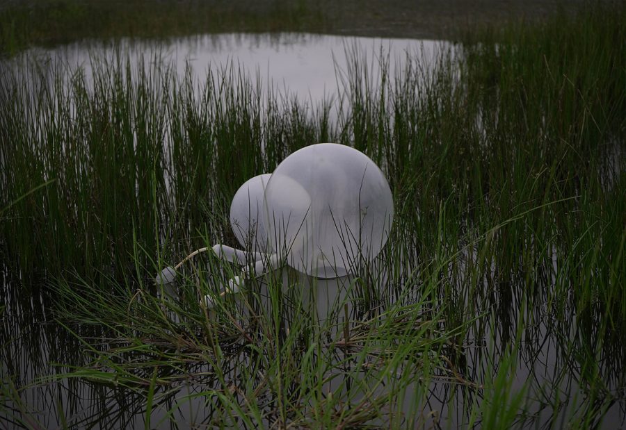 Taking its title from the poem Nothing Gold Can Stay by Robert Frost, the photograph shows an inflatable sculpture set adrift near an estuary in winter. Its swollen buoyancy hints at imminent collapse as it inhabits a fragile and transient ecosystem.