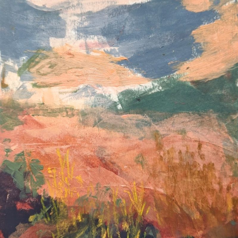 Pink clouds float above the foliage greeting the sky 