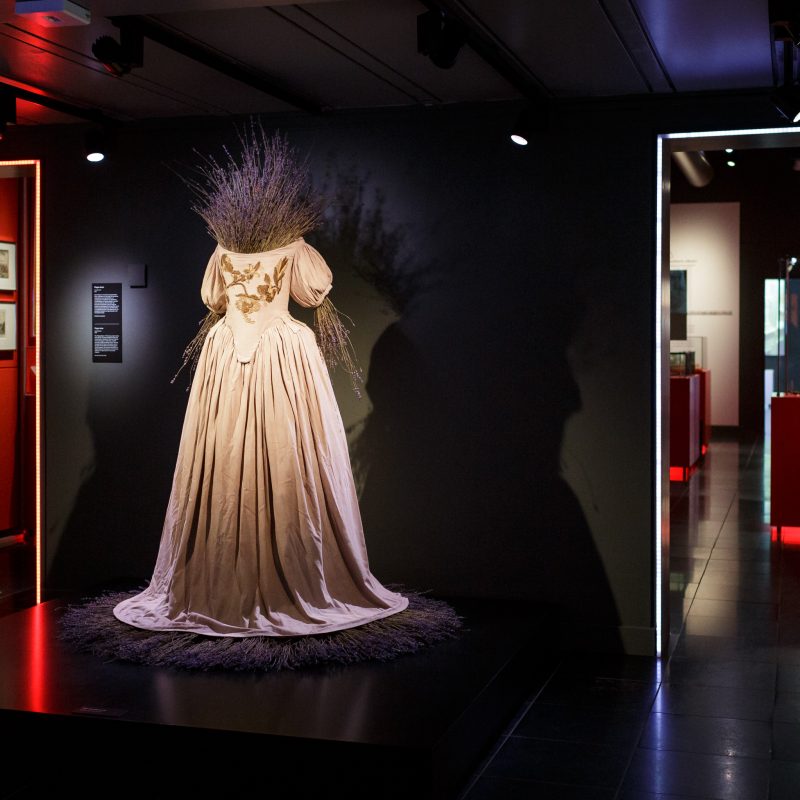 17th Century crinoline dress in drak space with red lights