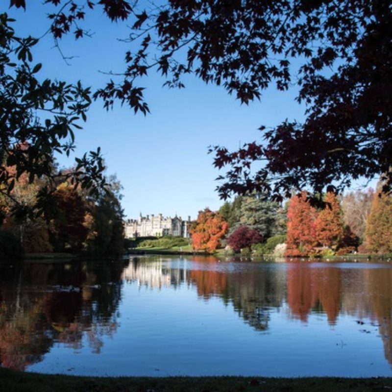 Blue sky above blue lake surrounded by colourful leaves of mature trees; capturing Sheffield Park.