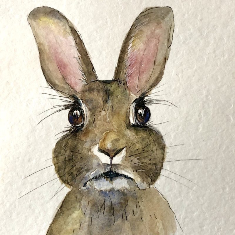 A beautiful drawing/painting of a rabbit