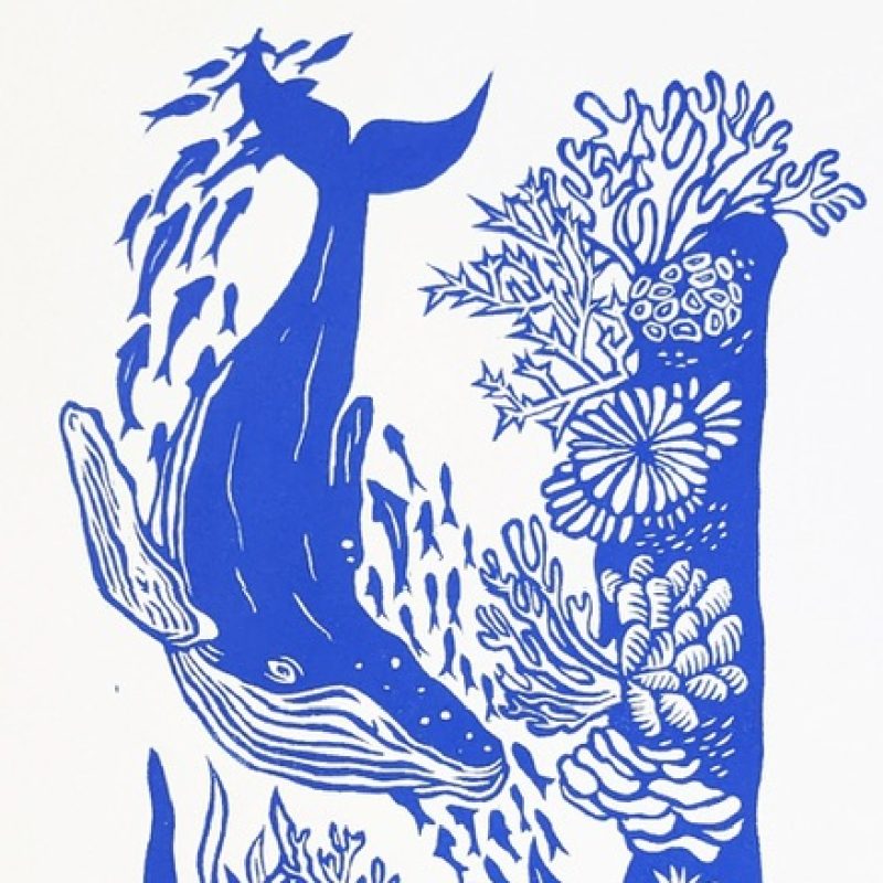 Blue throughout a whale swims down into coral and sea creatures