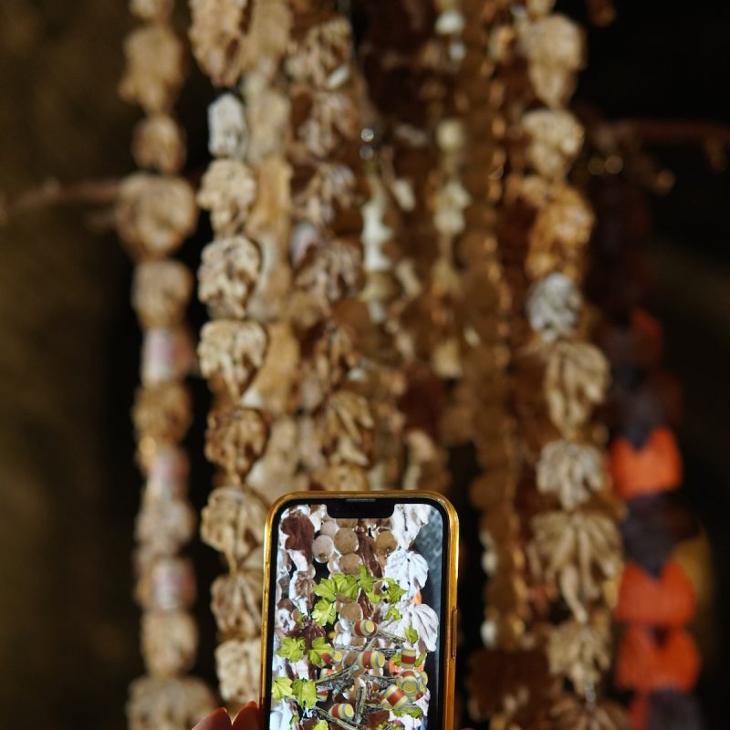 Mobile phone showing augmented reality app with biomaterials chandelier