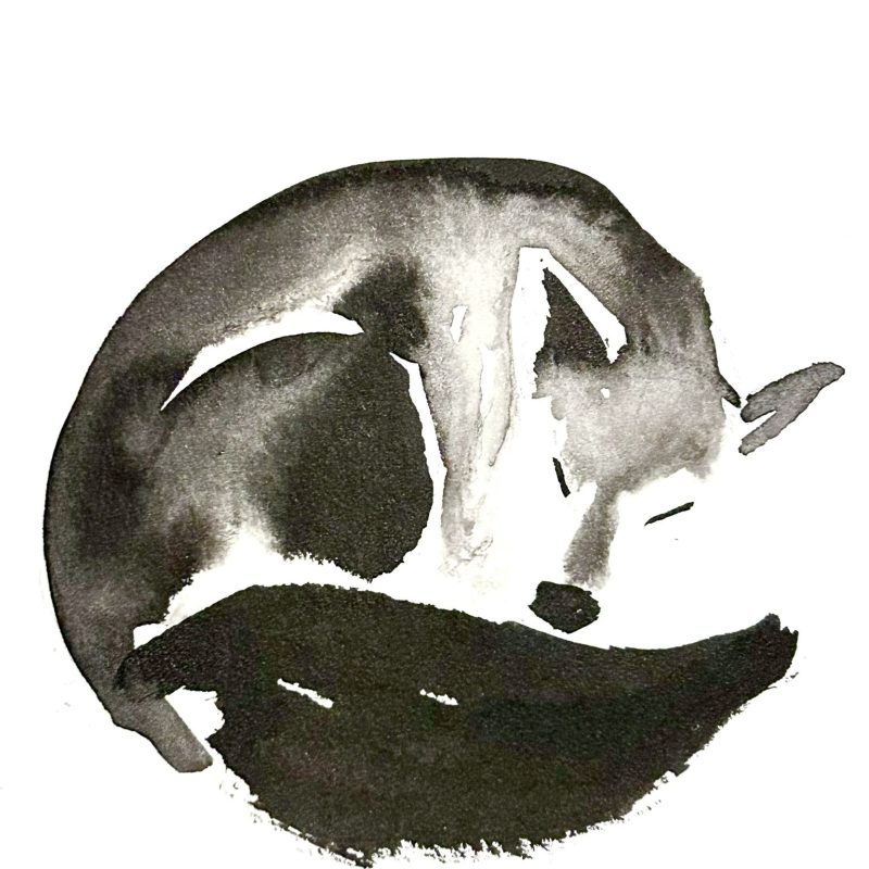 Ink Brush Fox 10x10cm, original