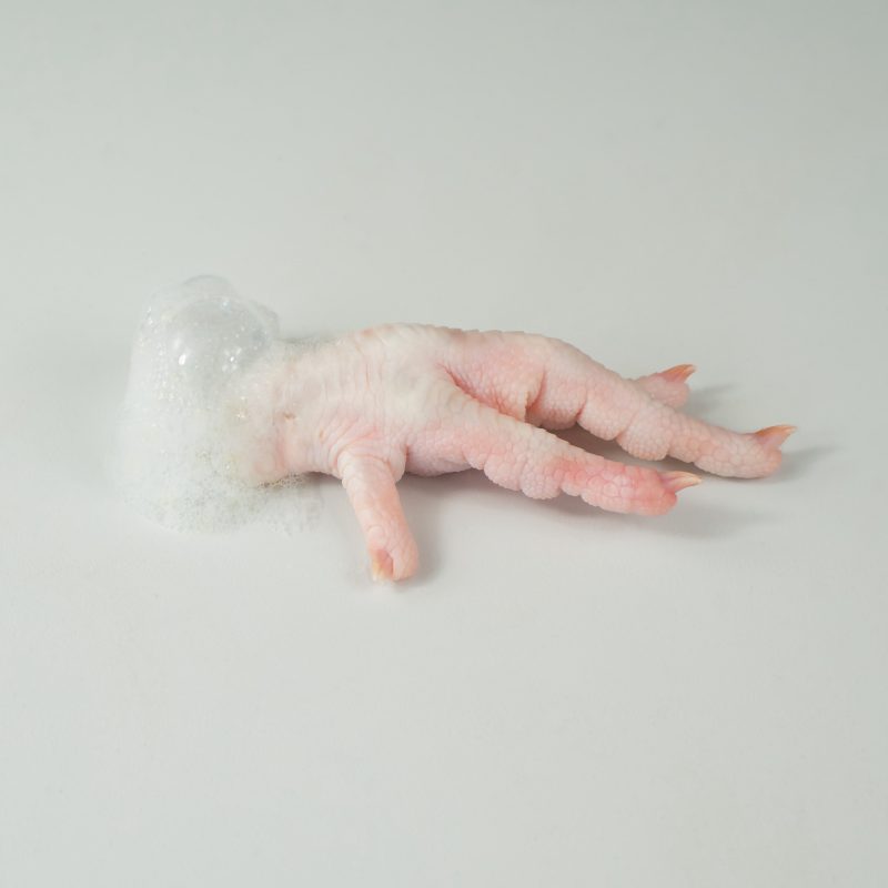 Chicken hand with foam 