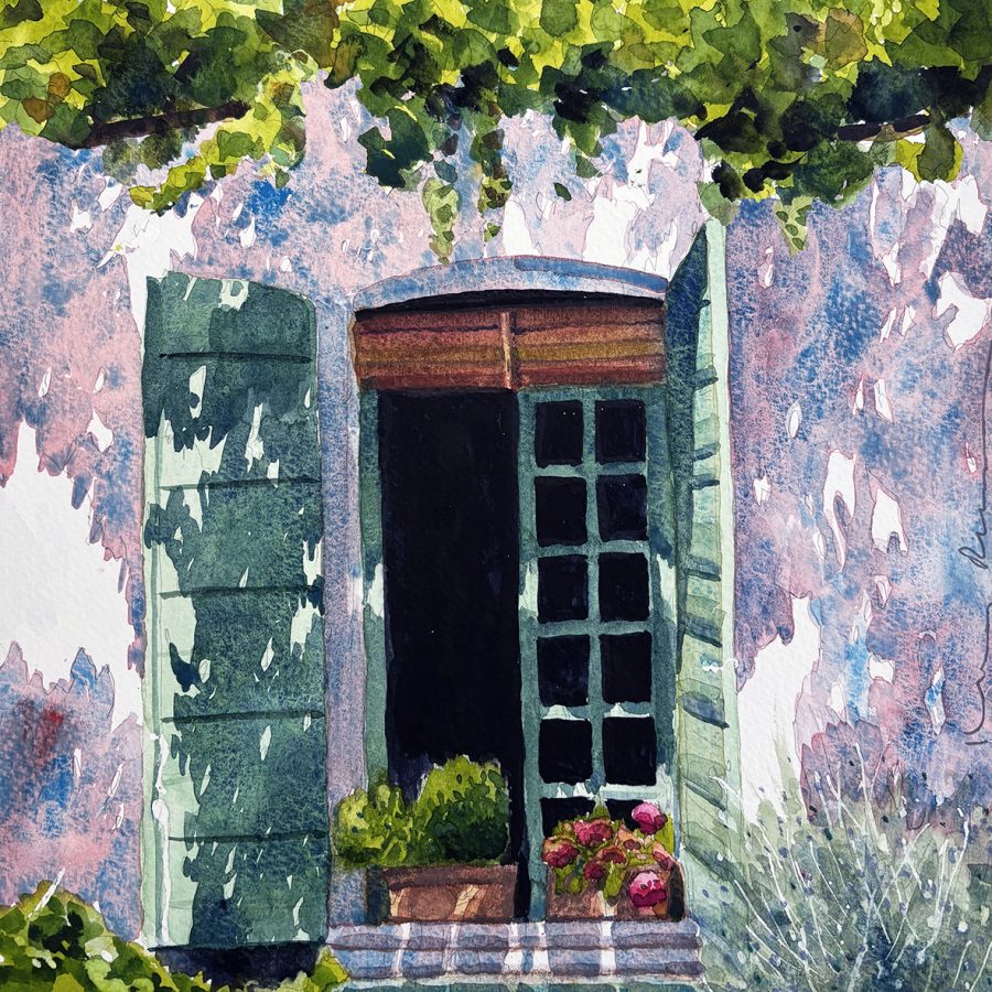 Open window and Vine Shadows