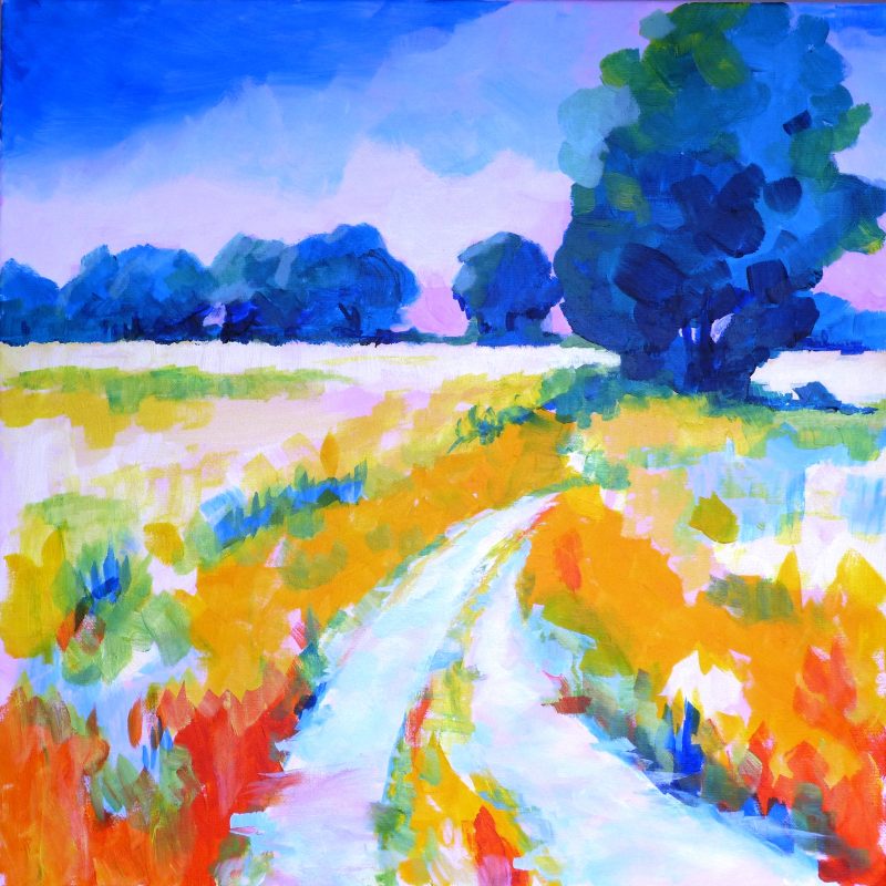 A view of a landscape with a path to trees