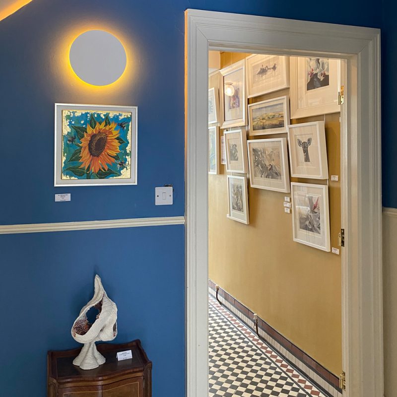 Pictures hanging in the hall